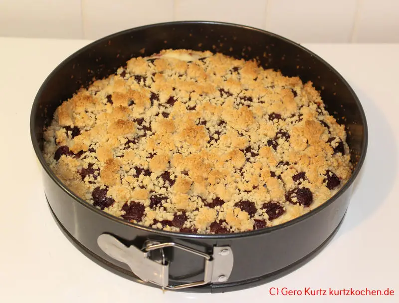 Streuselkuchen mit Pudding-Creme von Dr. Oetker- fertig gebackener Streuselkuchen in einer Springform