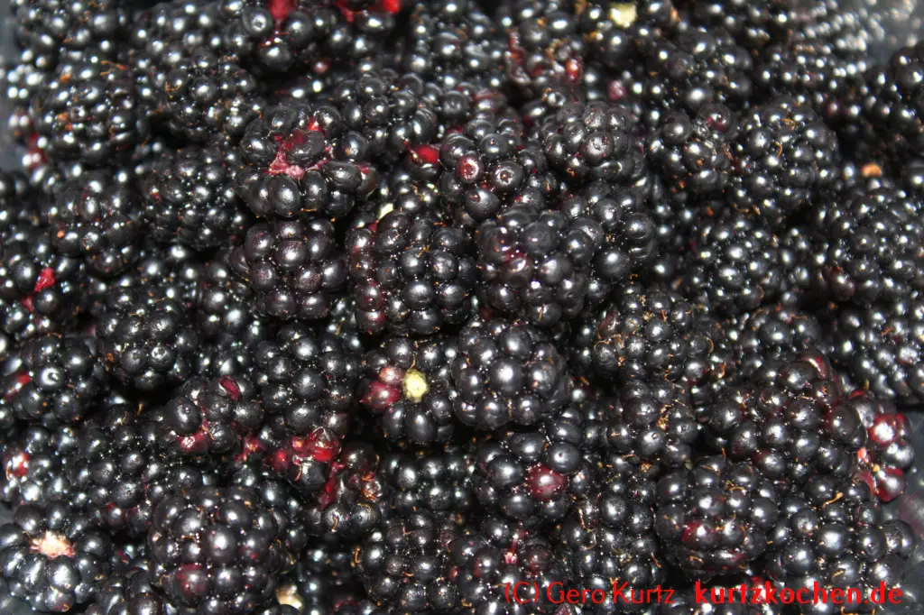 Brombeergelee, Brombeermarmelade - gewaschene Brombeeren