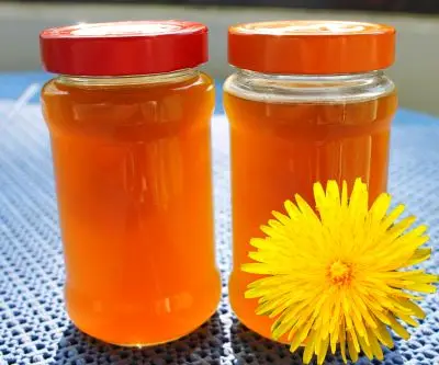 Rezept für Löwenzahnmarmelade - Butterblumengelee