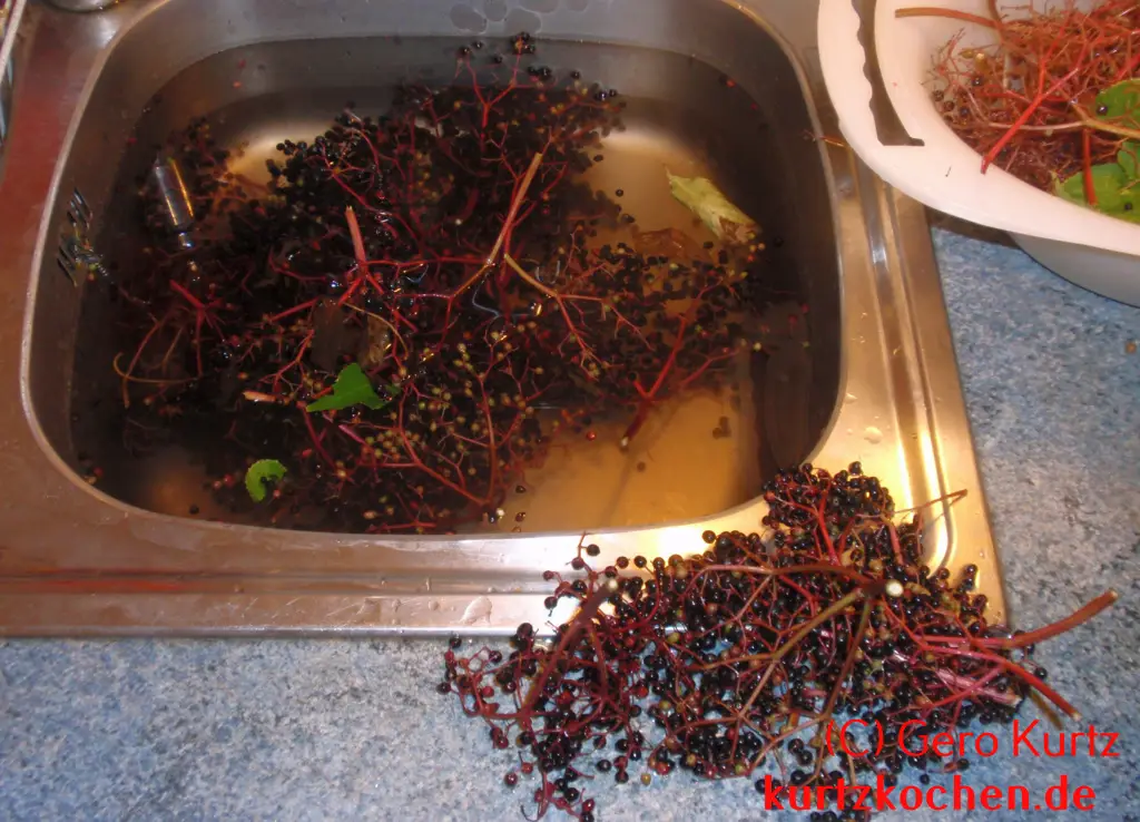 Holundergelee - Holunderbeeren in der Spüle und daneben