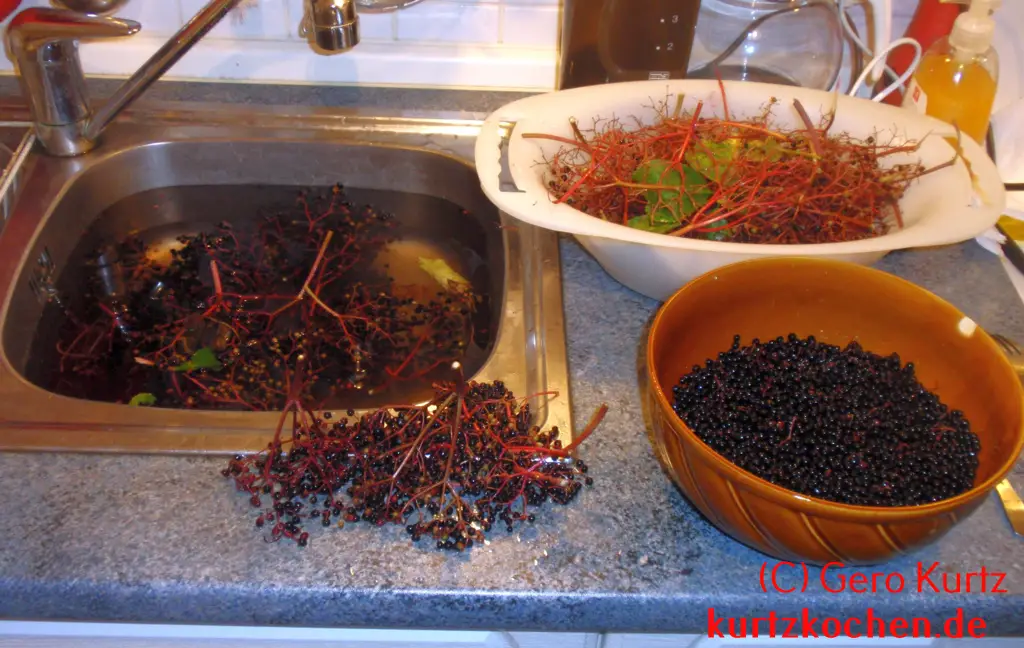 Holundergelee - Wasser mit Holunderbeeren und zwei Schüsseln 