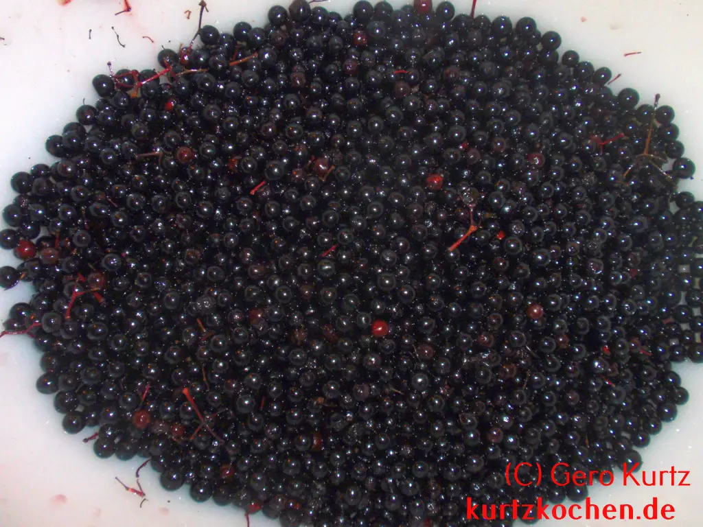 Holunderbeergelee - Holunderbeeren nach der zweiten Wäsche in einer Schüssel