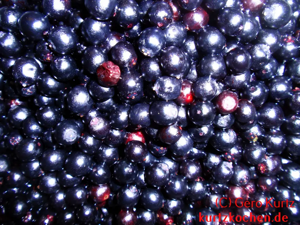 Holunderbeergelee - Holunderbeeren Nahansicht