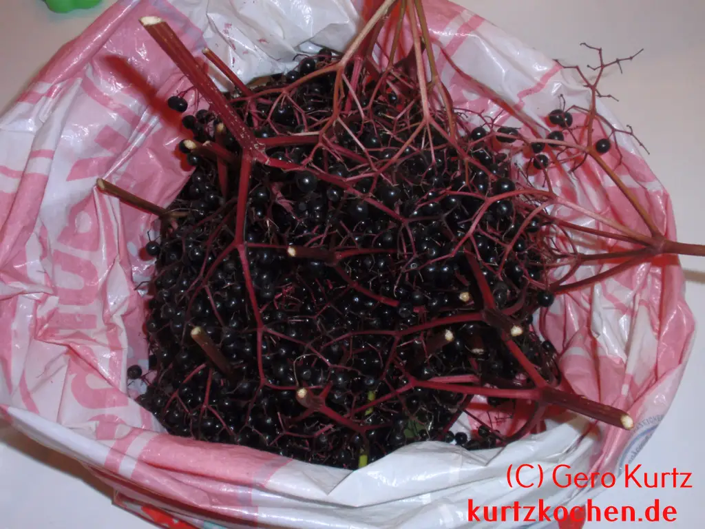 Holunderbeeren in einer Plastiktüte