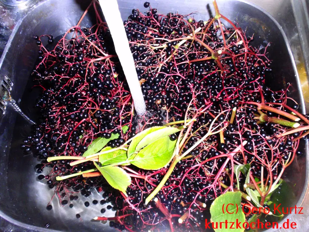 Holundergelee - Holunderbeeren in der Küchenspüle bei laufenden Wasser