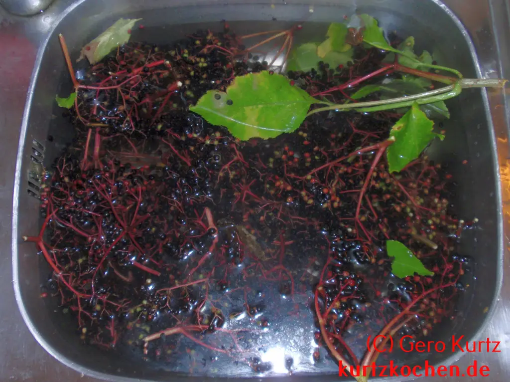 Holundergelee - Holunderbeeren im Wasser der Küchenspüle