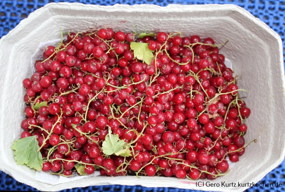 Rezept Johannisbeergelee - ein Körbchen Johannisbeeren