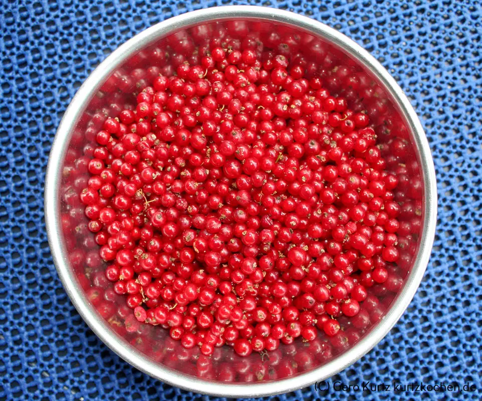 Rezept Johannisbeergelee - fertig verputzte Johannisbeeren