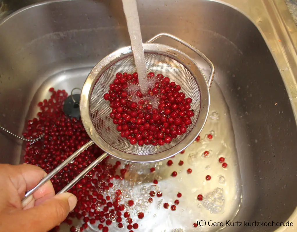 Rezept Johannisbeergelee - Johannisbeeren in einem Sieb in einer Küchenspüle