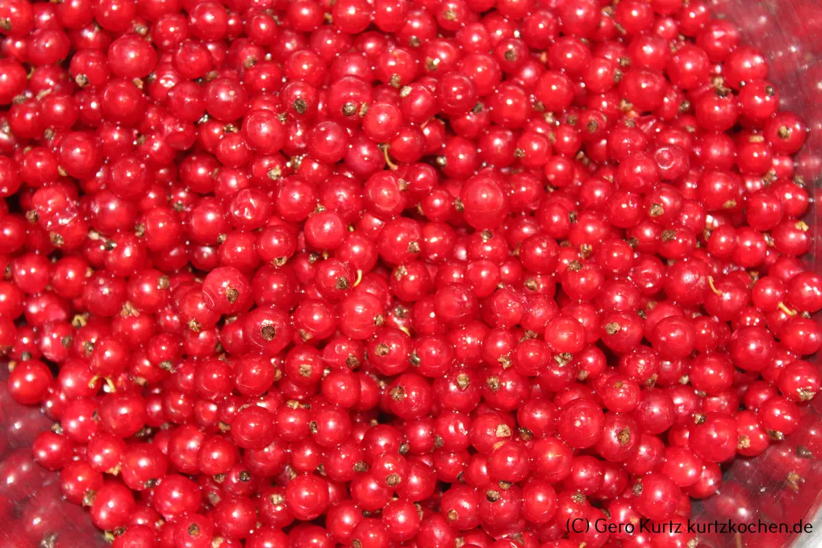 Rezept Johannisbeergelee - Nahansicht