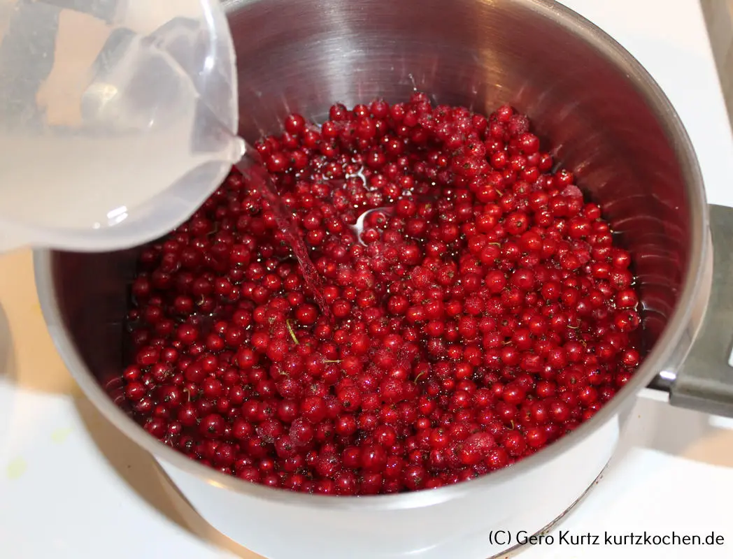 Rezept Johannisbeergelee - Kochtopf mit Johannnisbeeren und Wasser