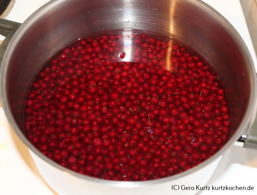 Rezept Johannisbeergelee - Johannisbeeren im Kochtopf mit Wasser bedeckt 