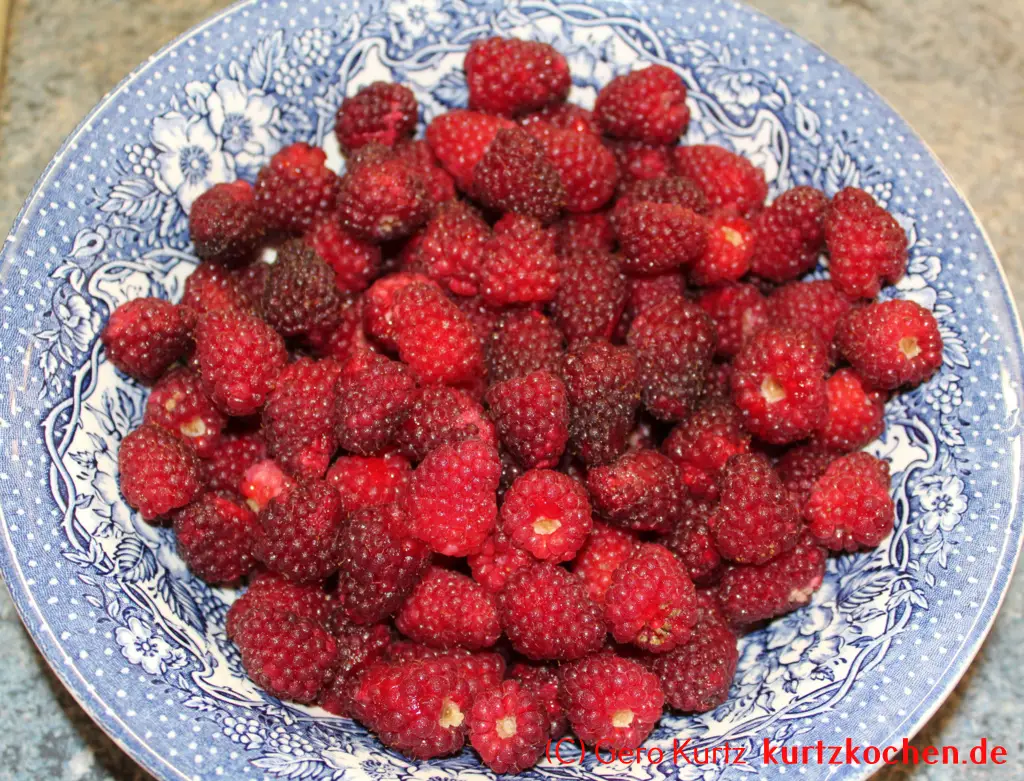 Taybeeren Tayberry Marmelade Gelee - gewaschene Taybeeren in einer Schüssel