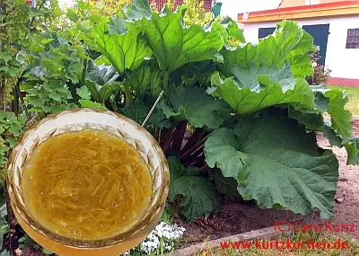 Rezept für Rhabarber Kompott