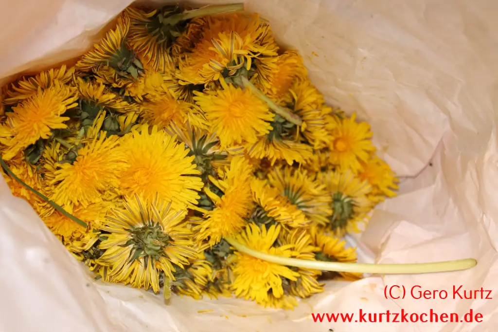 Butterblumenmarmelade Butterblumen in einer Tüte