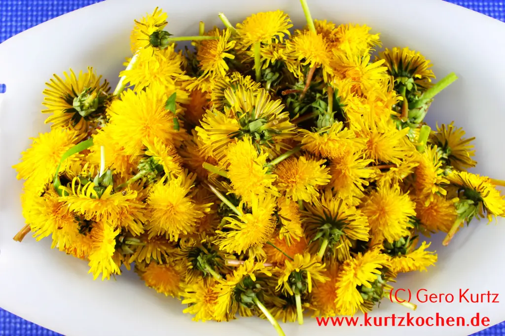 Butterblumenmarmelade Gesammelte Butterblumen