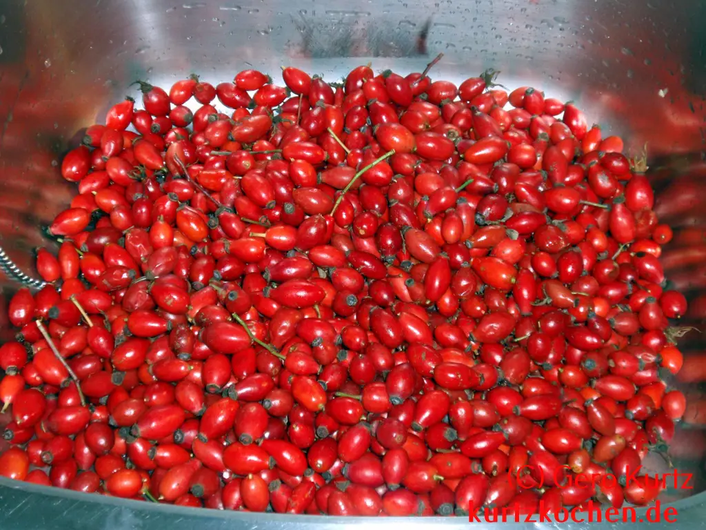 Hagebuttenmarmelade - Hagebutten in der Küchenspüle zum Waschen