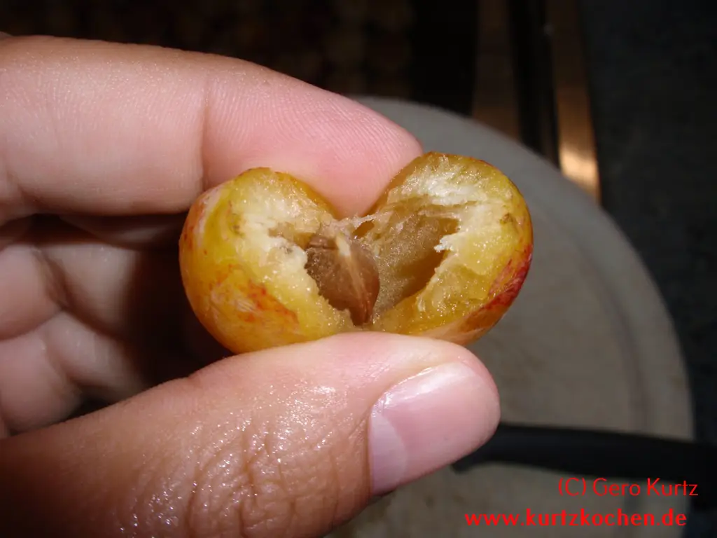 Mirabellenmarmelade 17 Stein einer Mirabellenfrucht
