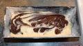 Backmischung Marmor Kuchen von Kathi - fertiger schwarz/weißer Kuchenteig
