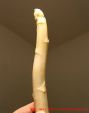 ein einzelner krummer Spargel