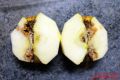 Apfel mit schlechten Stellen