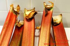 Rhabarber einfrieren Rhabarberstangen 