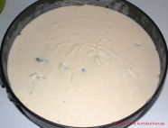 Quarkkuchen mit Streuseln - gerüttelte Quarkfüllung in einer Springform