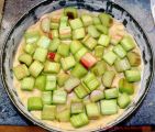 Rhabarberkuchen mit Butterstreuseln - Rhabarberstücken auf dem Teig verteilt
