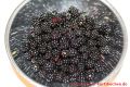 Brombeergelee, Brombeermarmelade - gewaschene Brombeeren