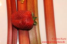 Erdbeermarmelade mit Rhabarber