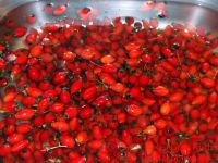 Hagebutten in der Spüle mit Wasser