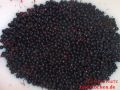 Holunderbeergelee - Holunderbeeren nach der zweiten Wäsche in einer Schüssel