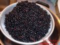 Holunderbeergelee - Holunderbeeren in einem Abtropfsieb