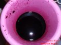 Holunderbeerengelee - Holundersaft im Plastikgefäß