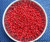 Rezept Johannisbeergelee - Johannisbeeren in einer Edelstahlschale