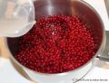 Rezept Johannisbeergelee - Kochtopf mit Johannnisbeeren und Wasser