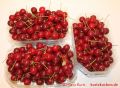 Grundrezept Marmelade - Sauerkirschen in drei Schalen