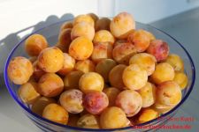 Mirabellenmarmelade Gesammelte Mirabellen