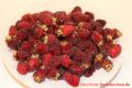 Taybeeren Tayberry Marmelade Gelee - gesammelte Taybeeren