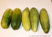 Rezept Senfgurken - fünf Senfgurken